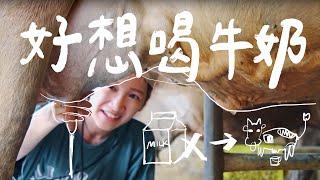 家裡沒牛奶了怎麼辦？｜壹加壹
