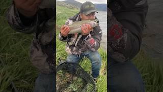 Here Is Seven Catching An Amazing Trout At Stagecoach Reservoir In Oak Creek, Colorado: #fishing 