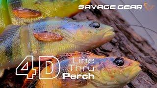 Savage Gear - 4D Line Thru Perch