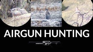 Slow Motion Airgun Hunting Compilation: Vol. 1