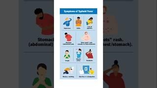 Typhoid Cause | Typhoid Fever Symptoms | Typhoid Treatment #shorts #typhoid #medical #typhoidfever