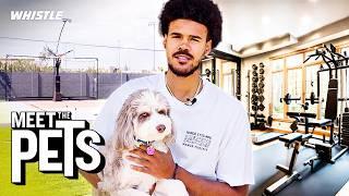 Brooklyn Nets Cam Johnson Pet Reveal & Mansion Tour 