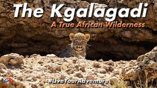 Kgalagadi Transfrontier Park Overland Road Trip