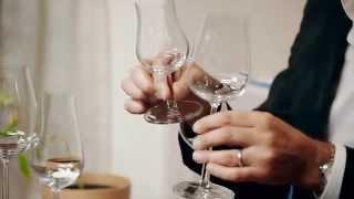 iittala Essence Plus Glassware