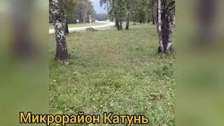 Участки микрорайон Катунь