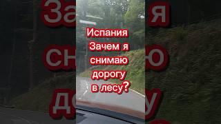 Испания. Зачем я снимаю дорогу в лесу? #переездвиспанию #франция #иммиграция #эмиграция #внжиспании