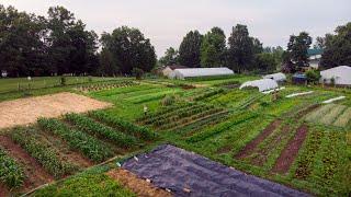 How No-Till Changes a Farm