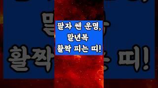 팔자 쎈 운명으로 살다가 말년복 활짝 피는 띠! #로또 #타로 #금전운