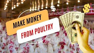 Top Poultry Business Ideas: How to Make Money with Poultry Farming