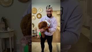 Hilarious Smell Test Goes Horribly Wrong