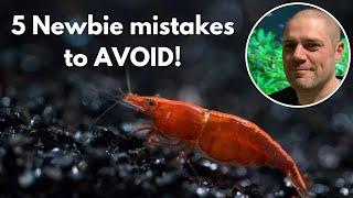 ️ Newbie Shrimp Keeping Mistakes to Avoid!