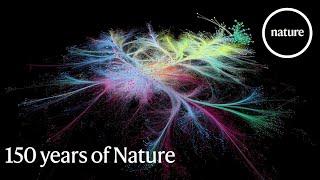 A network of science: 150 years of Nature papers