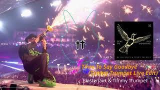 Time To Say Goodbye (Timmy Trumpet 2024 Live Edit) / Blasterjaxx & Timmy Trumpet