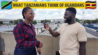 What Tanzanians Think Of Uganda & Ugandans Surprised Me!! You Won't Believe This!