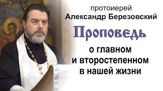 Проповедь о главном и второстепенном в нашей жизни (2023.01.20). Протоиерей Александр Березовский