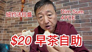 纽约法拉盛20元早茶自助，60种点心任吃AYCE，法拉盛餐饮真卷，消费者享受实惠，我喜欢皮蛋粥凤爪韭菜煎饺，但上菜速度实在不快