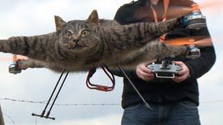 Exploring Boundaries: The Controversial Catcopter Project by Dutch Artist Bart Jansen