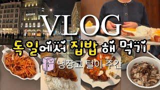 Eng)독일vlog | 독일에서 집밥 해 먹기 (소고기 버섯솥밥, 떡볶이, 관찰레 파스타, 연어 감자전, 두부조림), 바이레도 향수, 뮌헨에서 오페라, 뮌헨 레스토랑⭐️