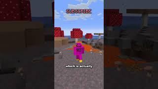 ITS MINECRAFT LIVE DAY!