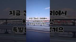 이 대교는 하루에 한번 없어진대요 #송샤티비