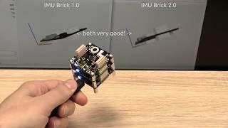 IMU, inertial measurement unit, triaxial acceleration sensor.