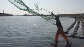 Using Cast Net in Gangshan river| JUANventure TV