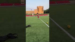 Ибра пришел посмотреть футбол, но при этом отрабатывает свои пасы #витязь #футбол #ибра #чехов