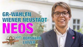 Gemeinderatswahlen Wiener Neustadt - NEOS - mit Bernhard Lutzer - WDB #121