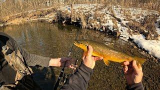 Wisconsin Trout Fishing - 2/23/2025