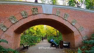 Summer, Autumn and Winter in 1 Minute. #russia #moscow #short