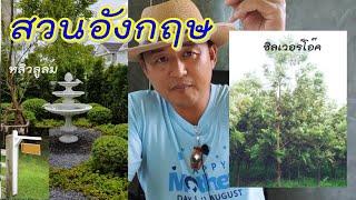 สวนอังกฤษ (English garden) สไตล์วินเทจ สวยหวานคลาสสิค ปลูกต้นไม้อะไรบ้าง/GolfGardentips