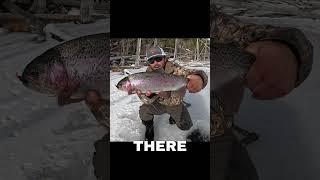 Ice Fishing + Brook Trout Catch & Cook #catchandcook #troutfishing #bassntrout