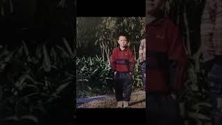 Xu Kai when he was young ,so handsome   @VorXuKai