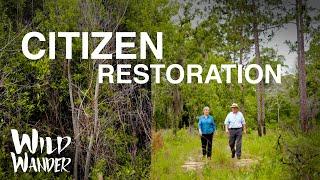 Longleaf Pine Land Stewardship Project | Florida Ecosystem Restoration