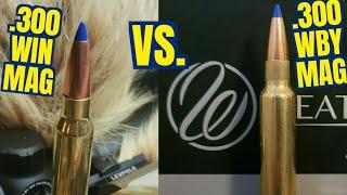 .300 Winchester Magnum vs .300 Weatherby magnum Barnes 175gr LRX. With Reloading Weatherby