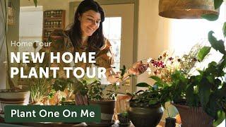 NEW COTTAGE Houseplant Home Tour — Ep. 345