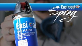 EASI COAT paint spray
