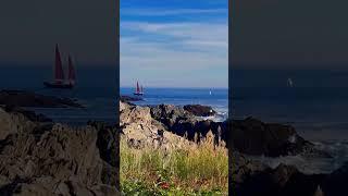 I️Boats (thanks MrMYME!) #sailboat #MAINE #ME #CrashTestGoat #GOATARMY