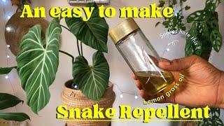 How to make your own snake and mosquito repellent with Lemon grass oil