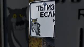 #бомба #кайфарик