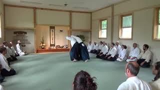 Ushiro tekubitori sankyo Donovan Waite Sensei, uke, Heidi Albright Sensei, Cloud Mountain Aikido