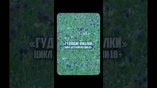 Цикл детской поэзии 18+ «Гудящие фиалки». Стихотворение «Жизнь». #юмор #поэзия #жизнь #стихи