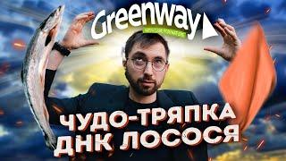 ОБМАНЕМ вас ДОРОГО! Разбор Greenway. Финансовые пирамиды