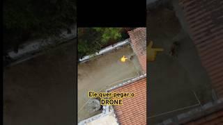 Cachorro tentando pegar MEU DRONE KKKKKKK #youtubeshorts