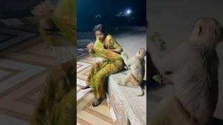 Itni kirpa sanware banaye rakhna #shree_krishna_ringtone #monkeyvideosforkids #monkey