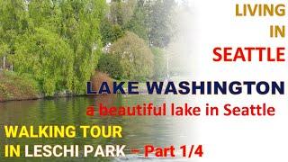 LAKE WASHINGTON | LIVING IN SEATTLE | WALKING TOUR Along Trails of Heavily Wooded Hillside -PART 1/4