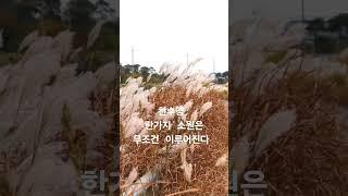 한가지 소원은 무조건 이루어진다 영인스님 1천만독 천수경 #독경 #염불 #buddha #healing #relax #shorts
