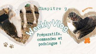 C'est le départ pour Nausicaa... Elle est toujours parfaite ! #9 WEEKLY VLOG (S2)