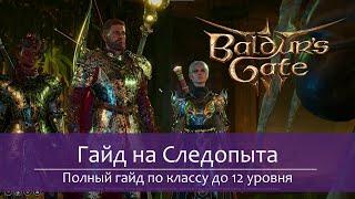 Полный гайд по Следопыту в Baldur's Gate 3 с 1 по 12 уровень