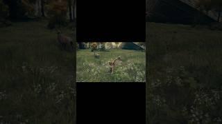 Goat casually starts rolling away in Elden Ring #eldenring #soulsgames #gamingfunny
